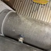 あいぼーの画像
