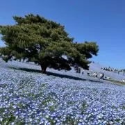 ののの。の画像