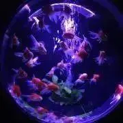 るな※要プロフの画像