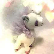 ちょぼ⭐︎プロフ必読の画像