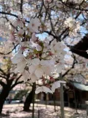Junaの画像