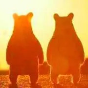 白熊