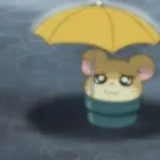 とらくんの画像