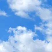 ちょこの画像