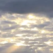 こわにの画像