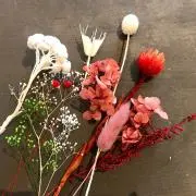 natsの画像