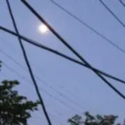 N.