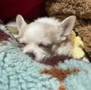 じょん★いʓの画像