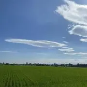 Minaの画像