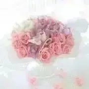 ふらわー