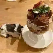 詩乃の画像