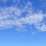 yuuuの画像
