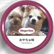 なちこゆの画像