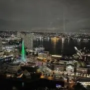 ゆの画像