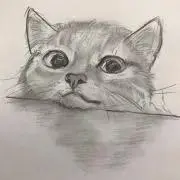 yoo
