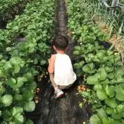 けんてぃーの画像