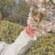 Ruru★