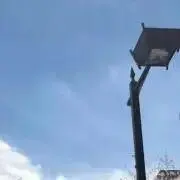 藻の画像