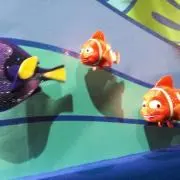 Amiの画像