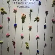 Nの画像