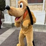 kaa♡自己紹介文を必ずお読みくださいの画像
