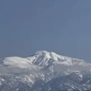 Horiの画像