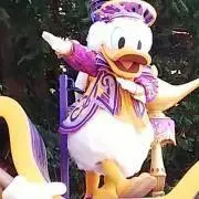 ころの画像