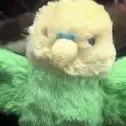 6/1〜3発送不可／らっきー☆プロフ確認の画像