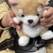 あやの画像