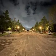 トトの画像