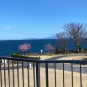momoの画像