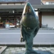 コンちゃんの画像