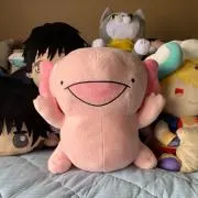 まゆみの画像