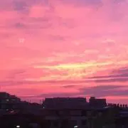 John※プロフ一読お願い致しますの画像