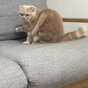 なか
