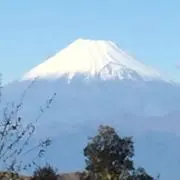 かなやん