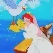 ぁあちゃんの画像