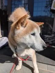 YUYUYUの画像