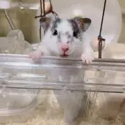 つむぐ