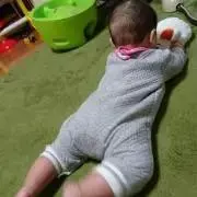 つぼみマム