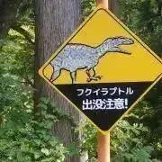 メルカトルメリの画像