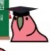15の画像