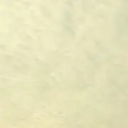 niの画像