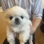 ★の画像