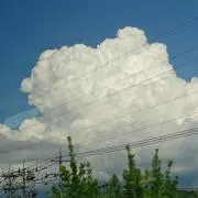 ここの画像