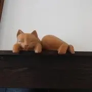 knightの画像