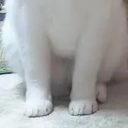 ぬぬねのの画像