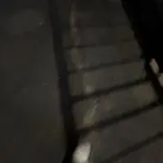 猫宮サン。の画像