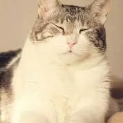 みなみの画像