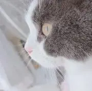 くみの画像